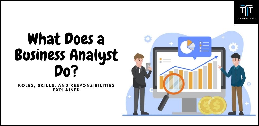 Business Analyst
